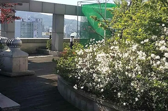 Hyundai Appartement